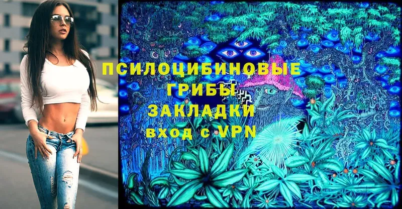 Галлюциногенные грибы Psilocybine cubensis  Мамоново 